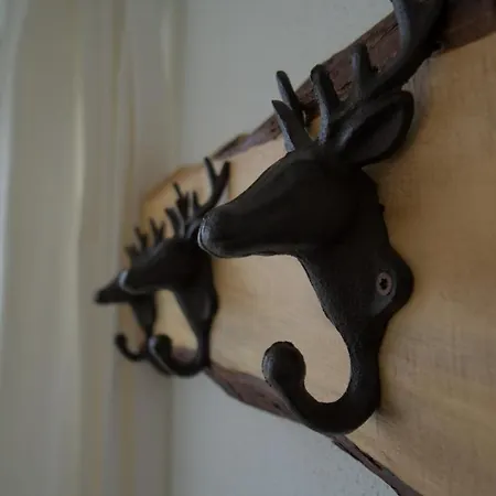 Apartman Dangos Mountainview *