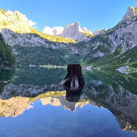 公寓 Dangos Mountainview *