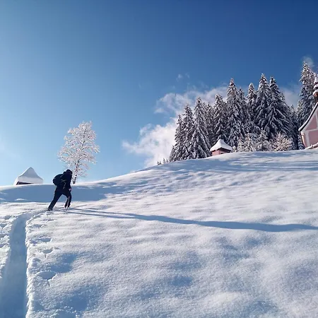 Dangos Mountainview *