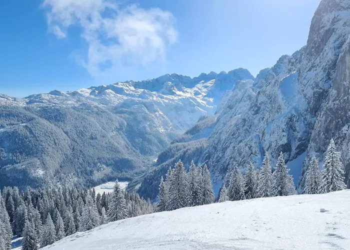 Апартаменты Dangos Mountainview